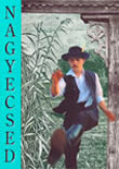 Nagyecsed